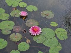 -云溪植物园