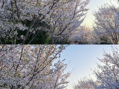 -南山风景名胜区