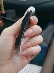 -阿噶西美甲美睫