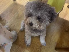 -观桥阁(锦溪店)