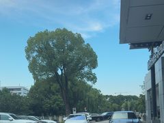 -上海星瀚奔驰4S店(红柳路店)