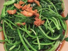 -MR鹅外