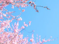 -白塘生态植物园