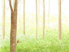 -虹桥机场V2贵宾休息室