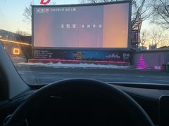 -枫花园汽车电影院(朝阳公园店)