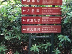 -杭州黄龙洞