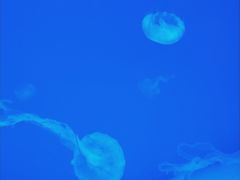 -波塞冬旅游度假区