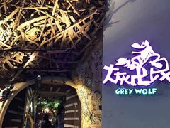 -大灰狼(中心书城店)