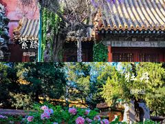 -北京丽晶酒店