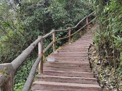 -碧峰峡风景区