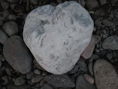 -田峪河公园