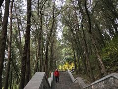 -四门塔风景区