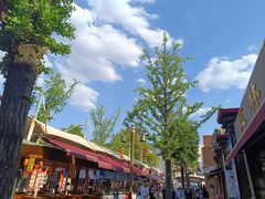 -秦始皇帝陵博物院-丽山园
