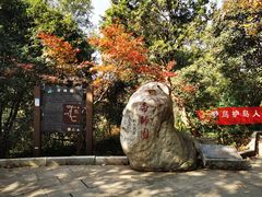 -宝岩生态观光园