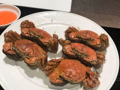 -大中华希尔顿酒店-念自助餐·嗨啤·小龙虾