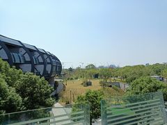 -上海滴水湖皇冠假日酒店