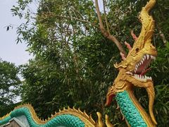 -西双版纳勐泐文化旅游区