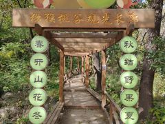 -大岭沟猕猴桃谷风景区