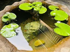 -31号公馆(黄兴广场白果园店)