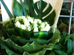 -静岸花卉园艺(三星坊店)