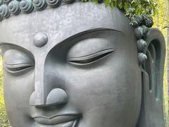 -杭州植物园