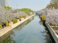 -海棠花溪(元大都城垣遗址公园)