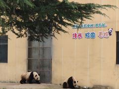 -西安秦岭野生动物园