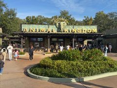 -奥兰多迪士尼动物王国乐园