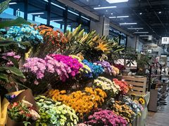 -7fresh七鲜(大族广场店)