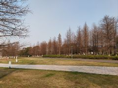 -苏州东太湖生态园