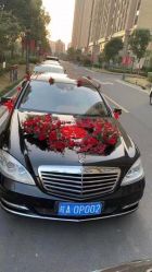 -蚂蚁婚车