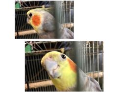 -日月刺青工作室·高端纹身