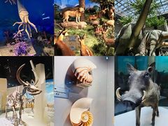 -国家自然博物馆