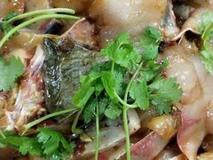 -秦巴石锅鱼(文化南路店)
