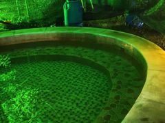 -汕头莲花山度假村温泉