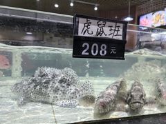 -沙田台山海鲜·酣客酒窖