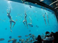 -瑞德姆美人鱼海底演艺主题餐厅(亚龙湾店)