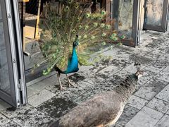 -广州从化都喜泰丽度假酒店温泉