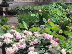 -鼓楼(西湖风景名胜区)