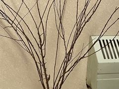 -汤泉良子.足疗按摩.SPA(中关村店)