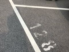 -迪士尼乐园停车场
