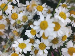 -奥士凯物美(新兴里店)