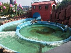 -南京银杏湖乐园