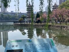 -宝岛公园