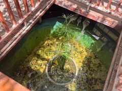 -锦上中式酒馆(南内环店)