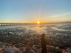 -宝安西湾红树林湿地公园