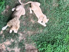 -泉州海丝野生动物世界