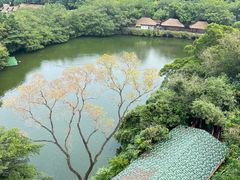 -广州长隆野生动物世界