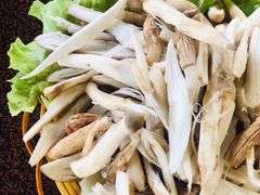 -菌海森林·非遗野生菌火锅(西山区滇池路摩根道店)