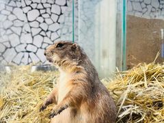 -海合安武汉极地海洋公园